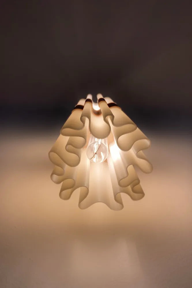 applique 3d diplo vue du dessous