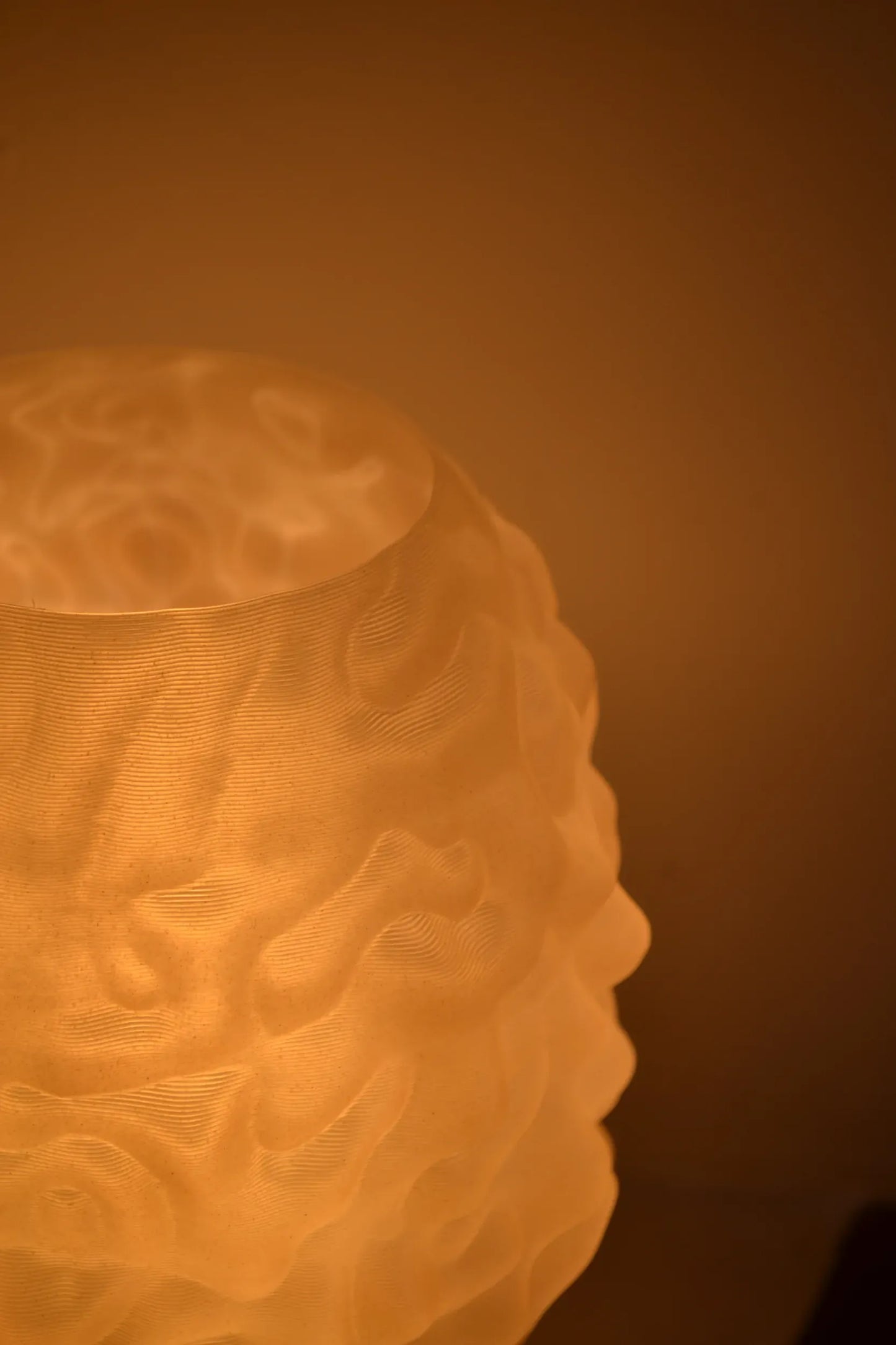 zoom abat jour de la lampe mori