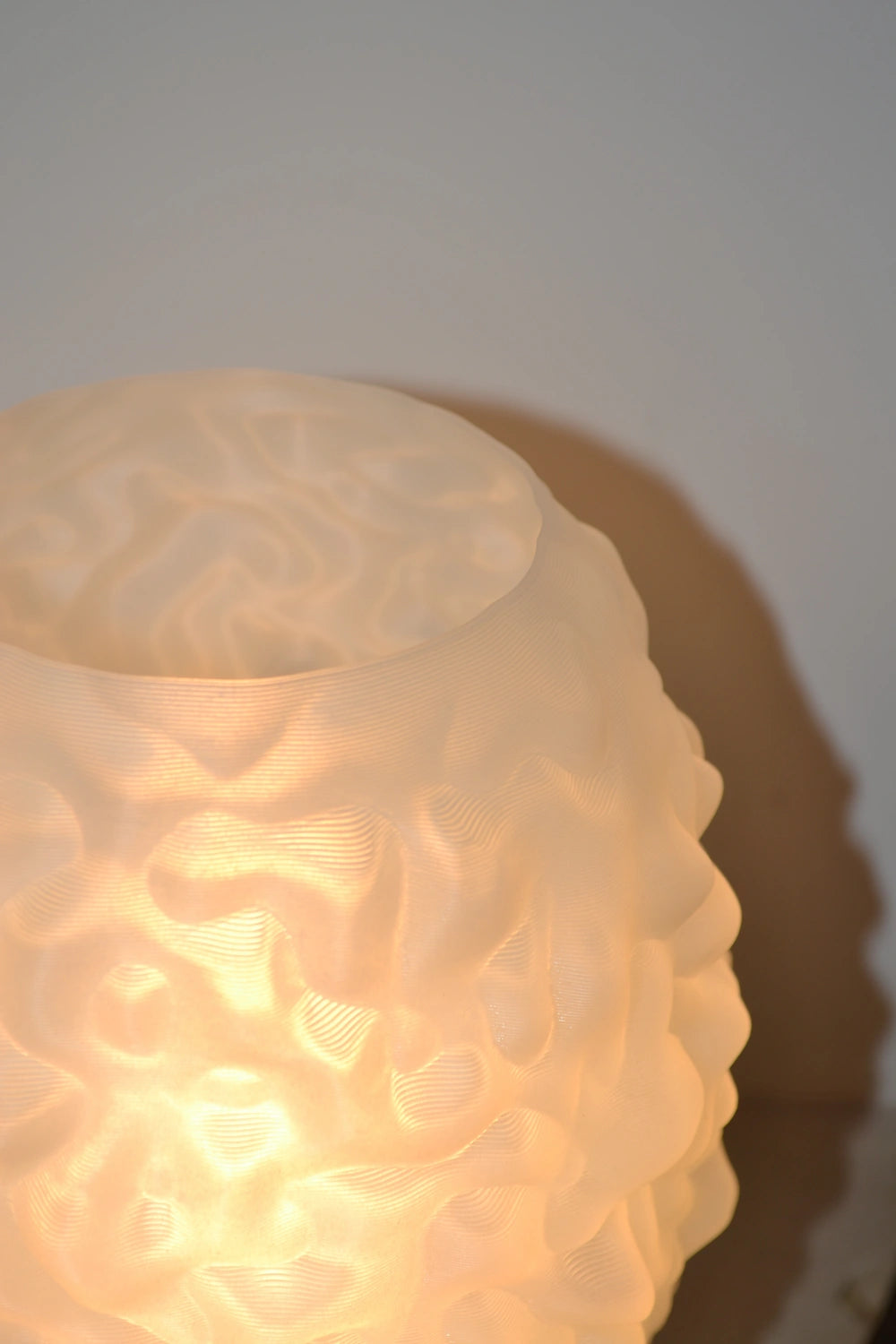 détail texture lampe morille