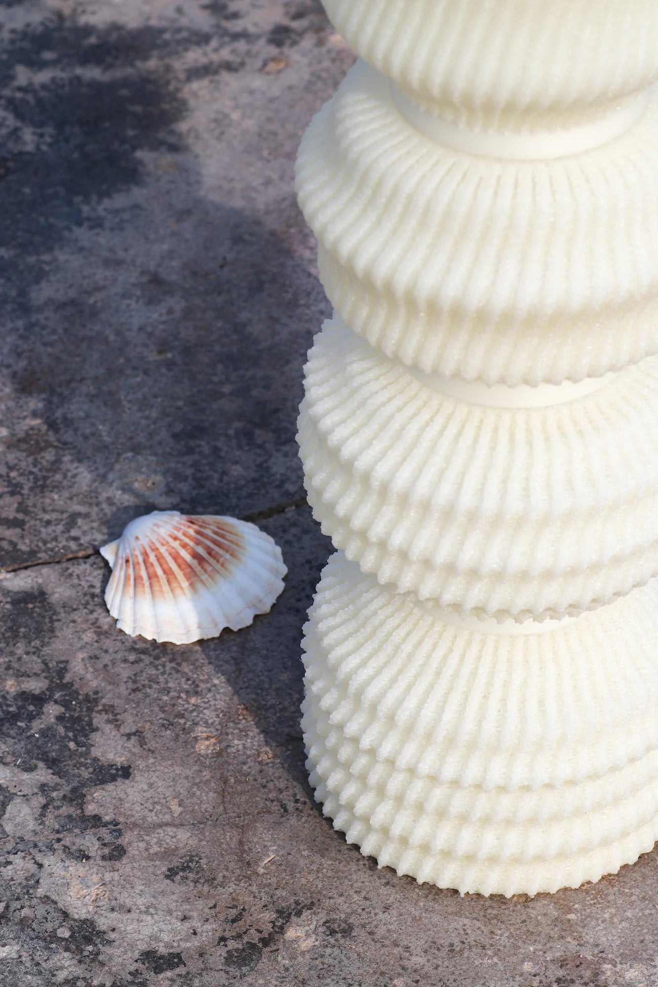 lampe et coquillage
